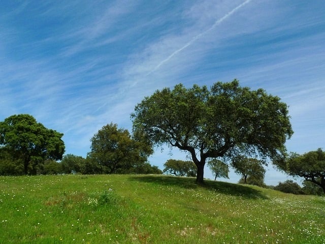 Land acquisition in North Texas — NTX Realty Trust